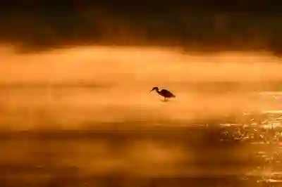 크롬 방문기록 삭제하는 꿀팁 알아보자