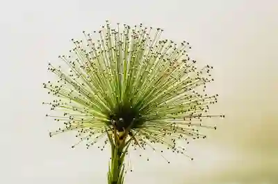 엣지 브라우저 다크모드 설정하는 꿀팁