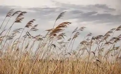 구글 검색지역 변경을 위한 간단한 꿀팁 알아보자