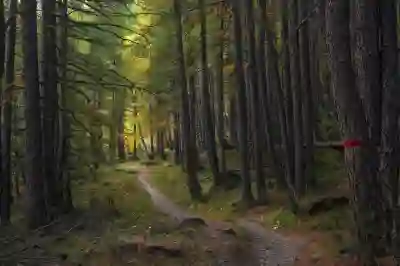 MS 워드 파일 크기 줄이기 위한 4가지 꿀팁 살펴보기