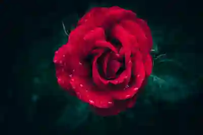 아이폰 나의 찾기 비활성화 오류 해결하는 꿀팁 알아보자