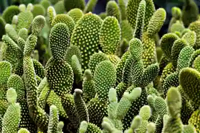 아이폰 스위치 제어 꺼지지 않는 문제 해결하는 방법 알아보자