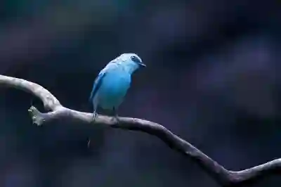갤럭시 카메라 설정 초기화로 바뀌는 설정 알아보자