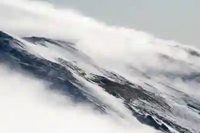 알PDF 광고 제거하는 간단한 꿀팁