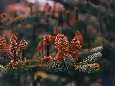 윈도우 키보드 한영전환 안됨 오류 해결하는 4가지 방법