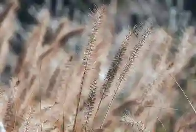 한컴오피스 한글에서 특정 페이지를 깔끔하게 삭제하는 방법 알아보자