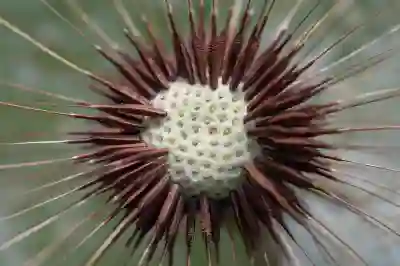 ChatGPT Plus의 장단점과 사용 후기를 살펴보자