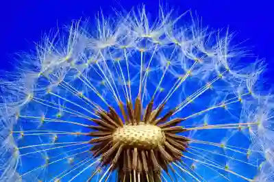 인스타 언급 안됨 원인과 해결 방법 살펴보자