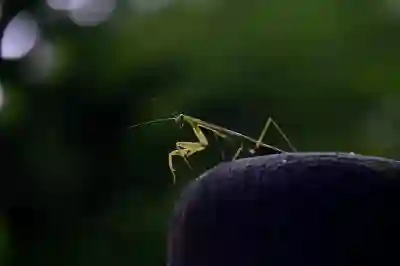 아이폰 유도 기능 설정 및 활용법 알아보자