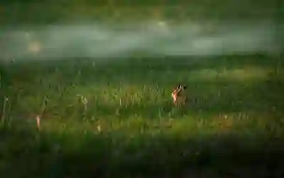 magicline4nx 삭제하는 꿀팁 알아보자