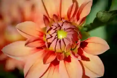 갤럭시로 누끼따기와 스티커 만들기 쉽게 하는 방법 살펴보자