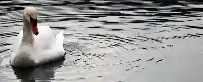 카카오 신용점수 쉽게 확인하는 방법 살펴보자
