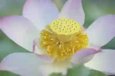 아이폰 쿠팡플레이 자막 크기와 배경 변경하는 꿀팁 알아보자