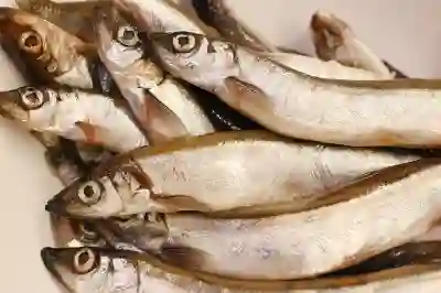 유튜브 뮤직 재생목록 만들고 오프라인 저장하는 꿀팁 알아보자