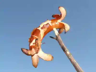 카카오톡 음성메시지 텍스트 변환하는 꿀팁 알아보자