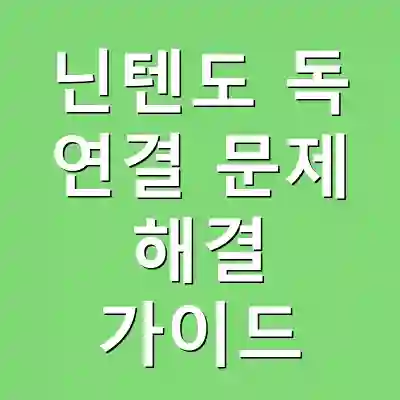 닌텐도 독 연결 문제 해결 가이드